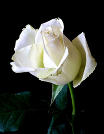 Glenn E Streeter Obituary